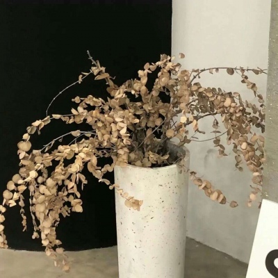 嘉鱼FurryQQ群介绍